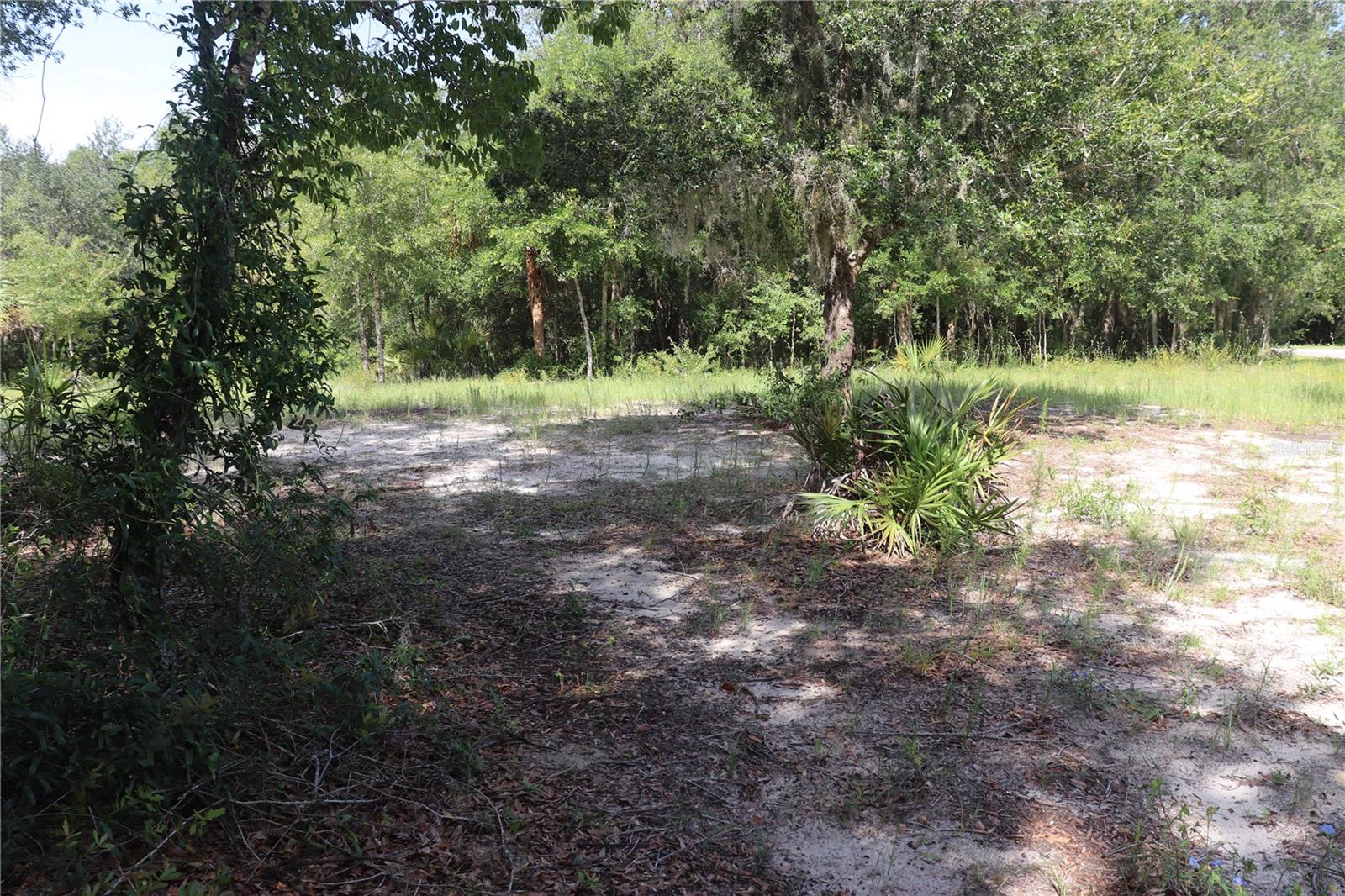 Listing photo id 0 for 11924 Belluzzi Terrace