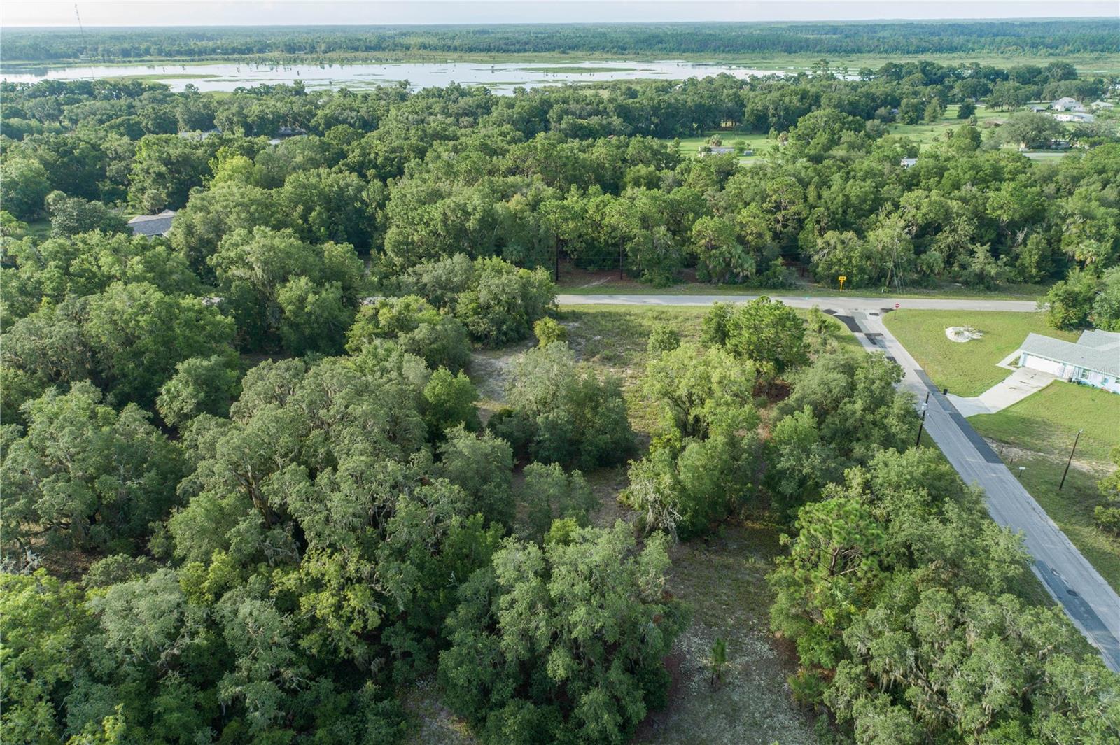 Listing photo id 18 for 11924 Belluzzi Terrace