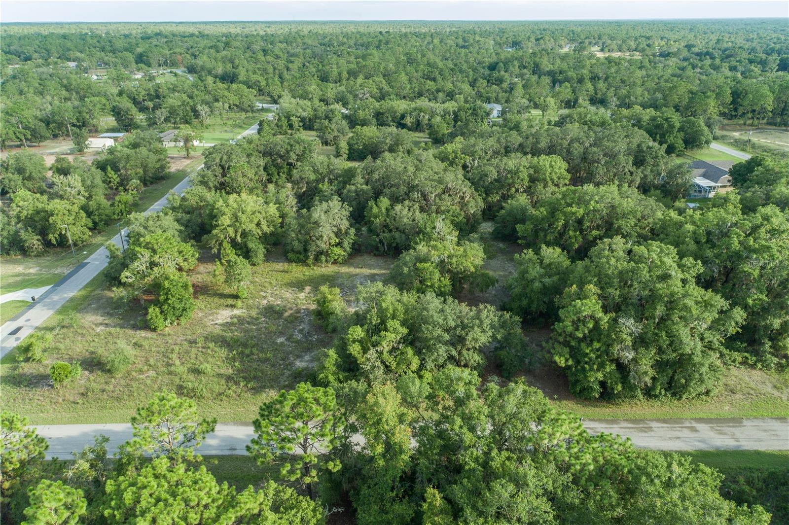 Listing photo id 22 for 11924 Belluzzi Terrace