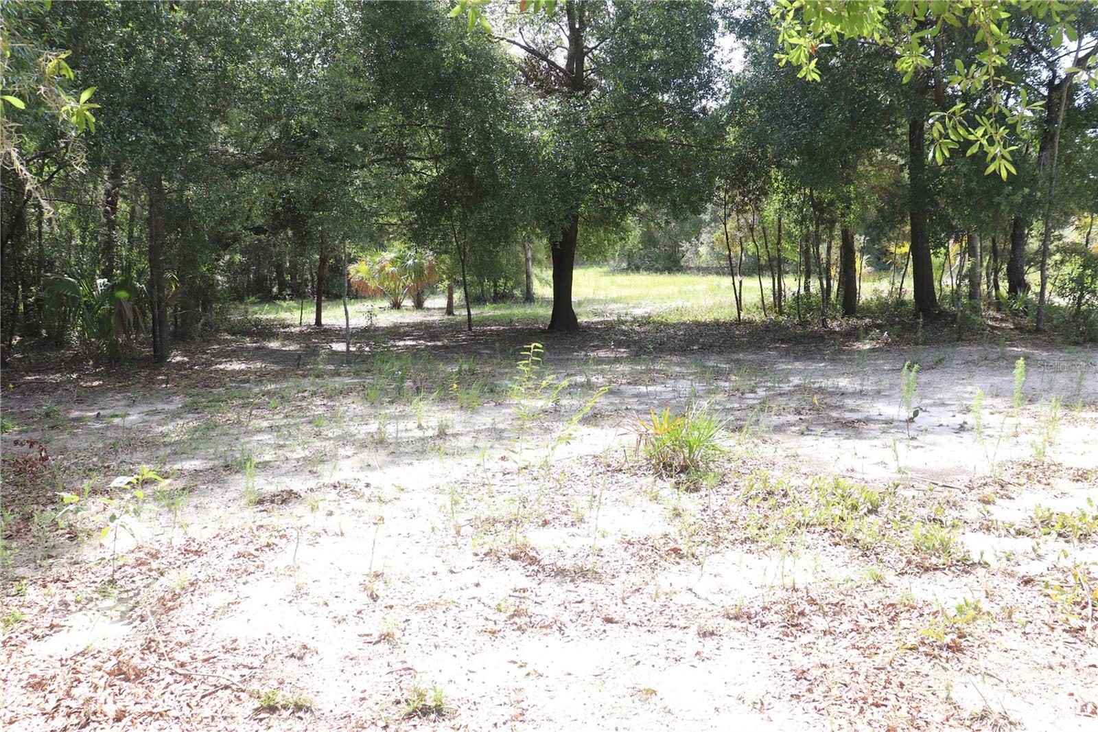 Listing photo id 1 for 11924 Belluzzi Terrace