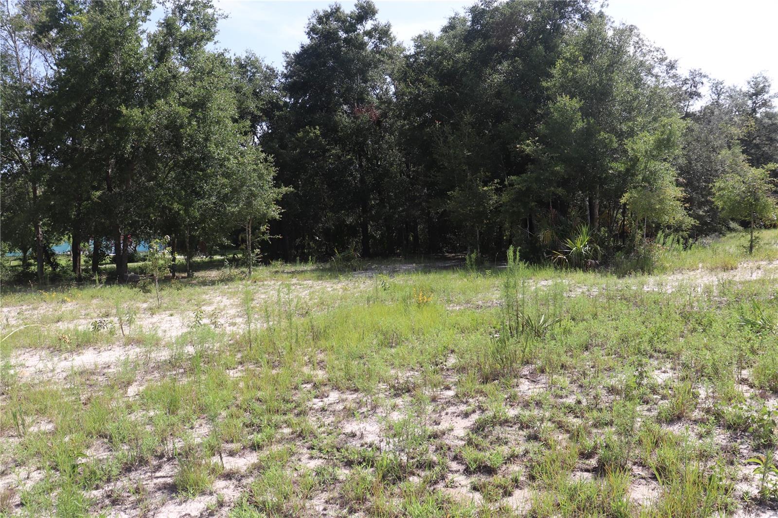 Listing photo id 3 for 11924 Belluzzi Terrace