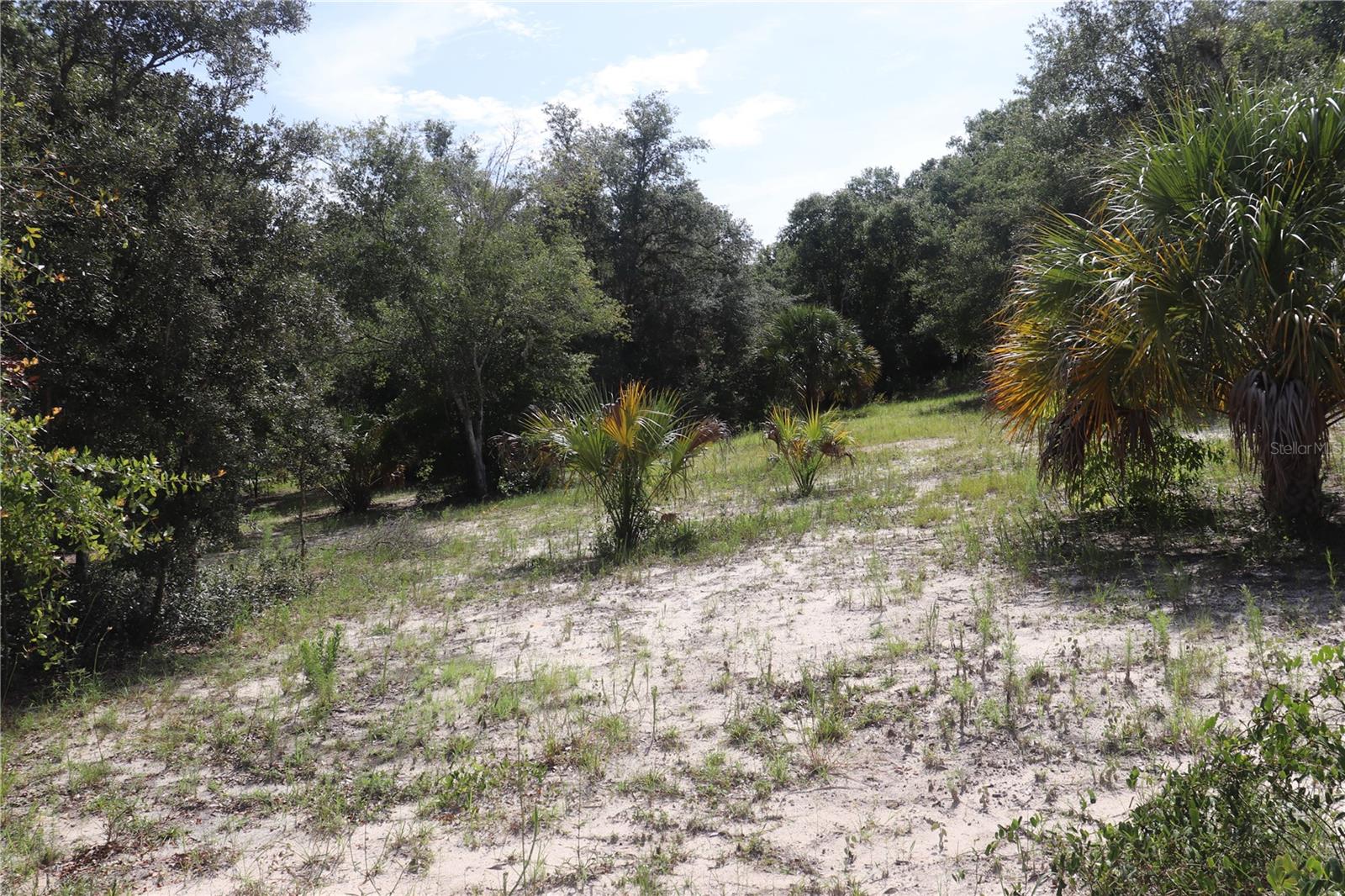 Listing photo id 4 for 11924 Belluzzi Terrace