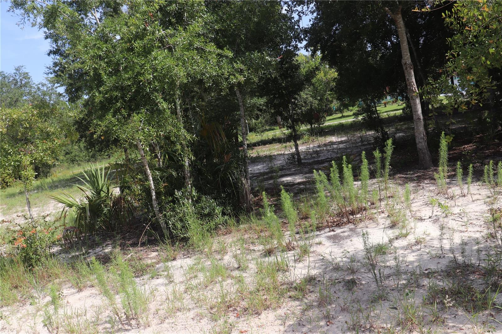Listing photo id 5 for 11924 Belluzzi Terrace