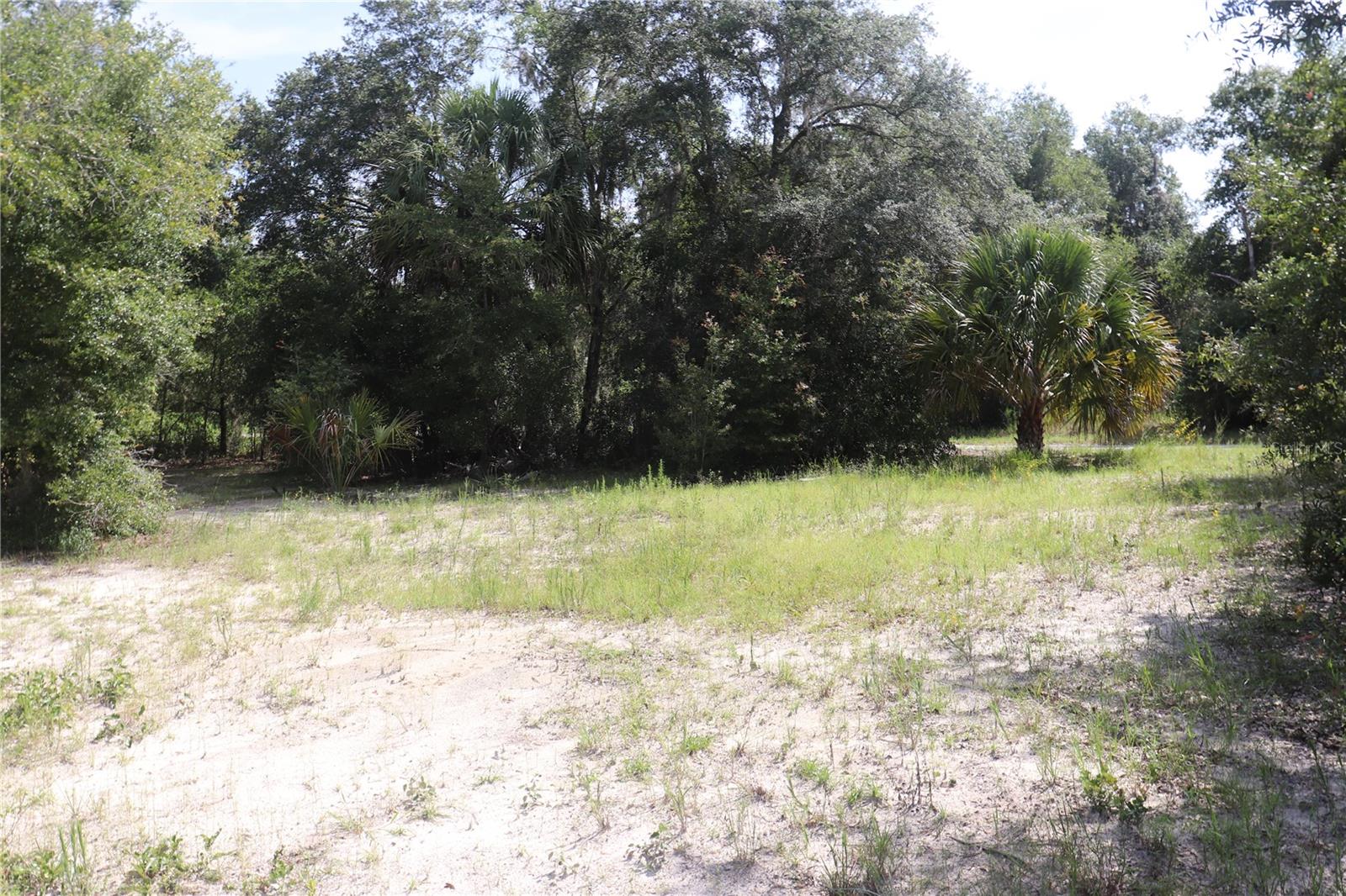 Listing photo id 6 for 11924 Belluzzi Terrace