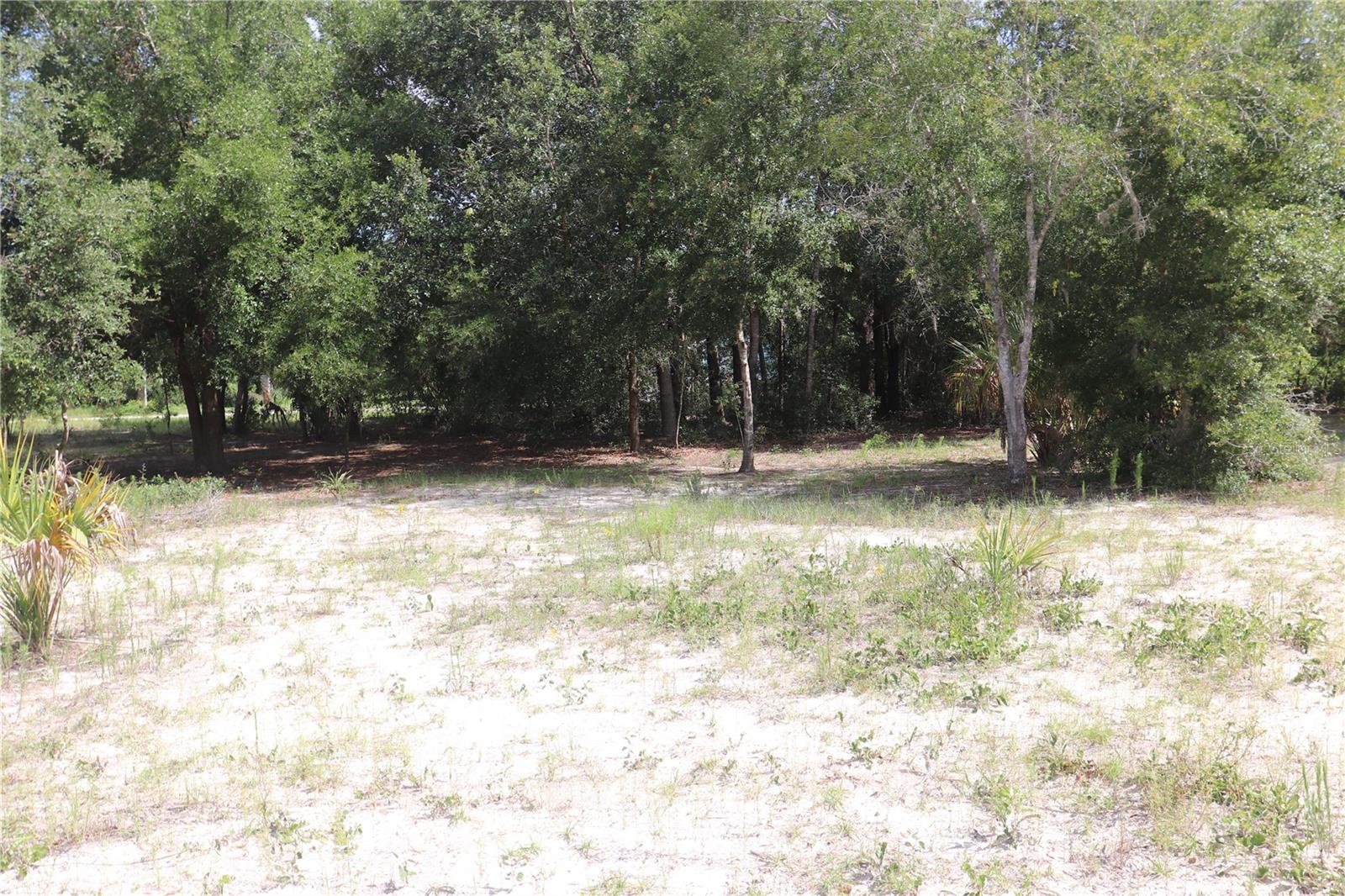 Listing photo id 7 for 11924 Belluzzi Terrace