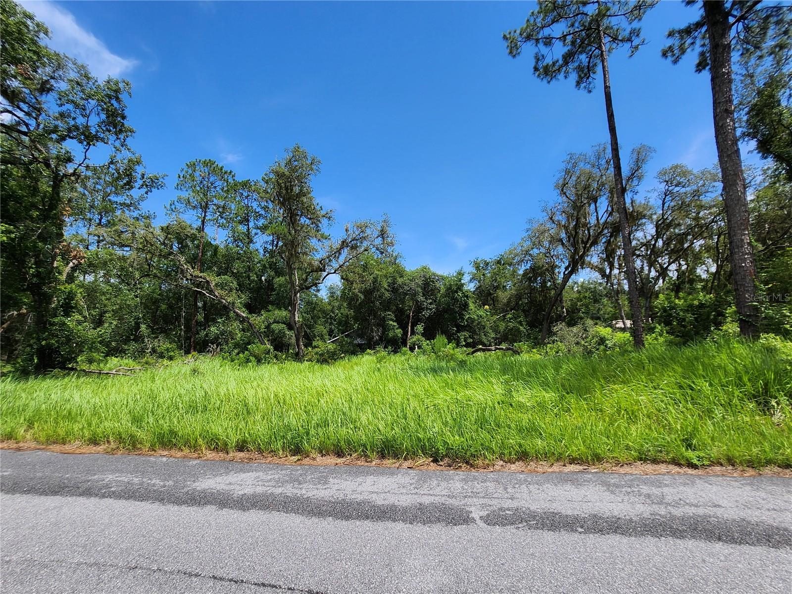 Details for Tbd Oak Lane Way, OCALA, FL 34472