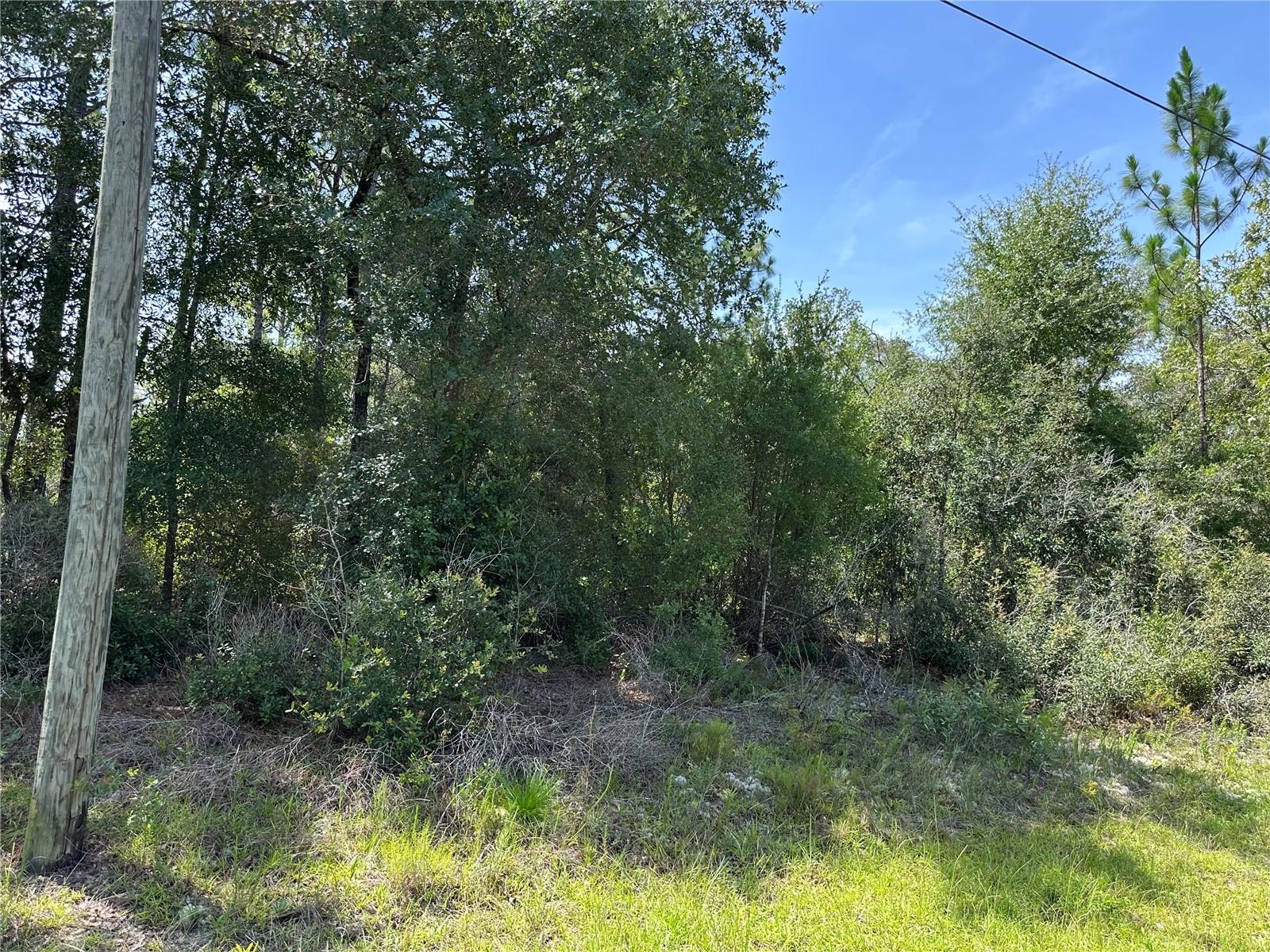 Details for 8547 Trojan Drive, CITRUS SPRINGS, FL 34433