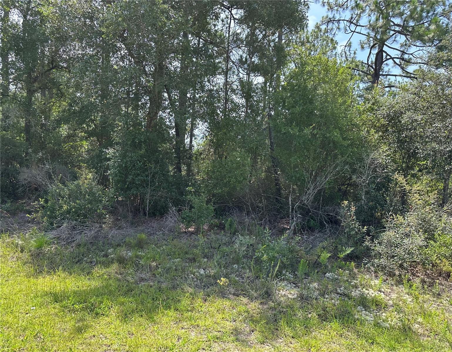 Image 3 of 3 For 8547 Trojan Drive