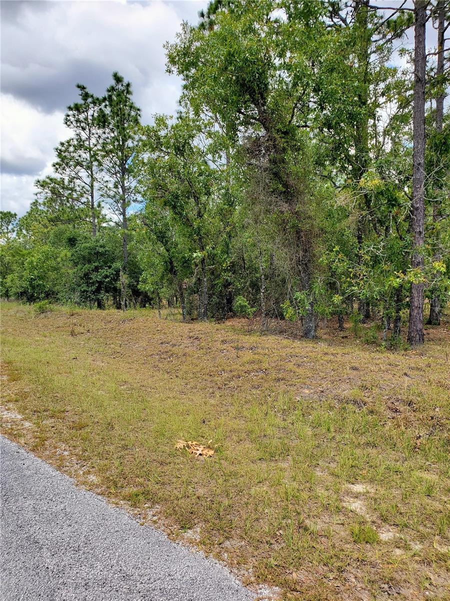 Listing Details for 10715 Academy Drive, CITRUS SPRINGS, FL 34434
