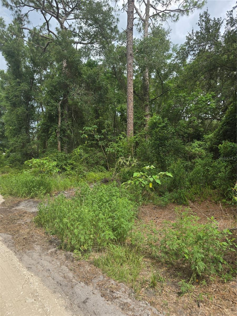 Details for 1650 178th Lane, SUMMERFIELD, FL 34491