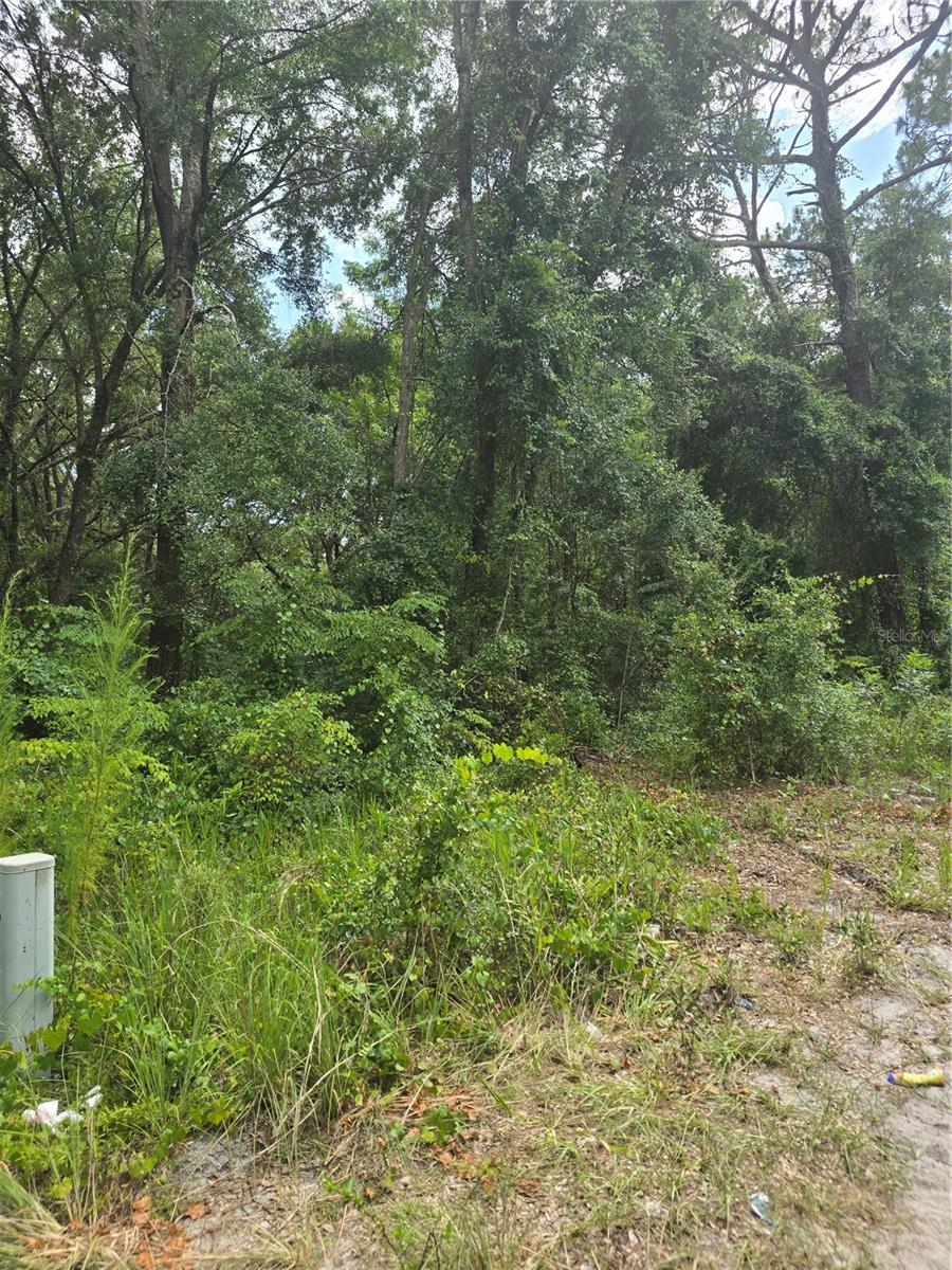 Image 4 of 5 For 1650 178th Lane