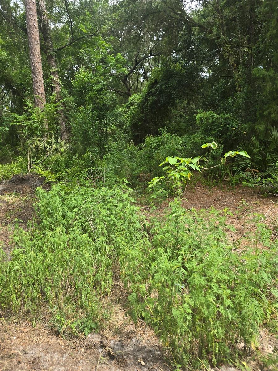 Image 5 of 5 For 1650 178th Lane
