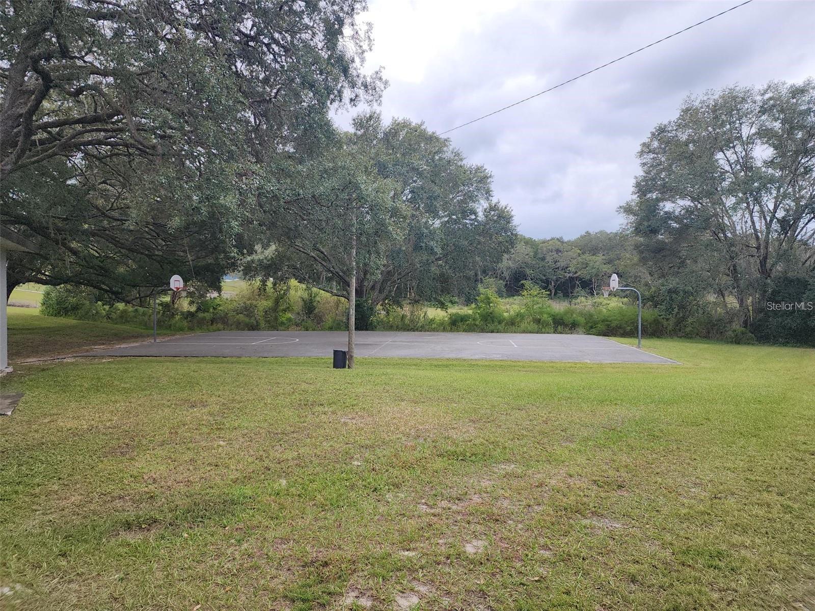 Image 17 of 30 For 450 Mandrake Drive