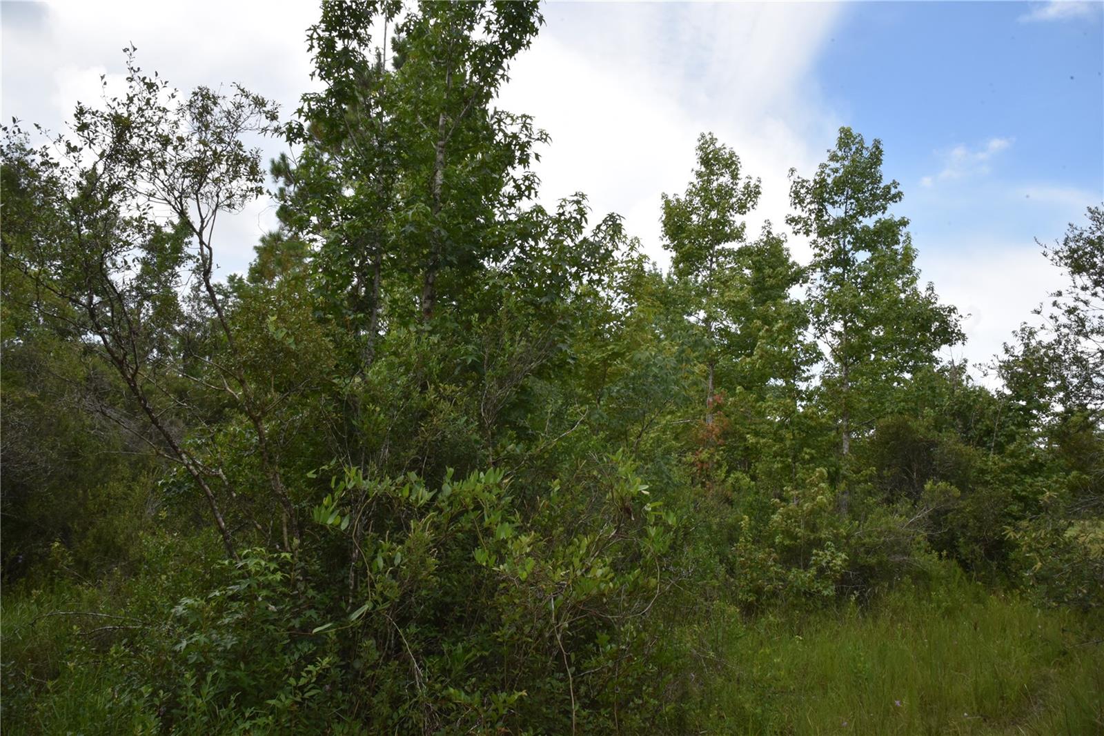 Image 65 of 69 For 3353 774th Avenue