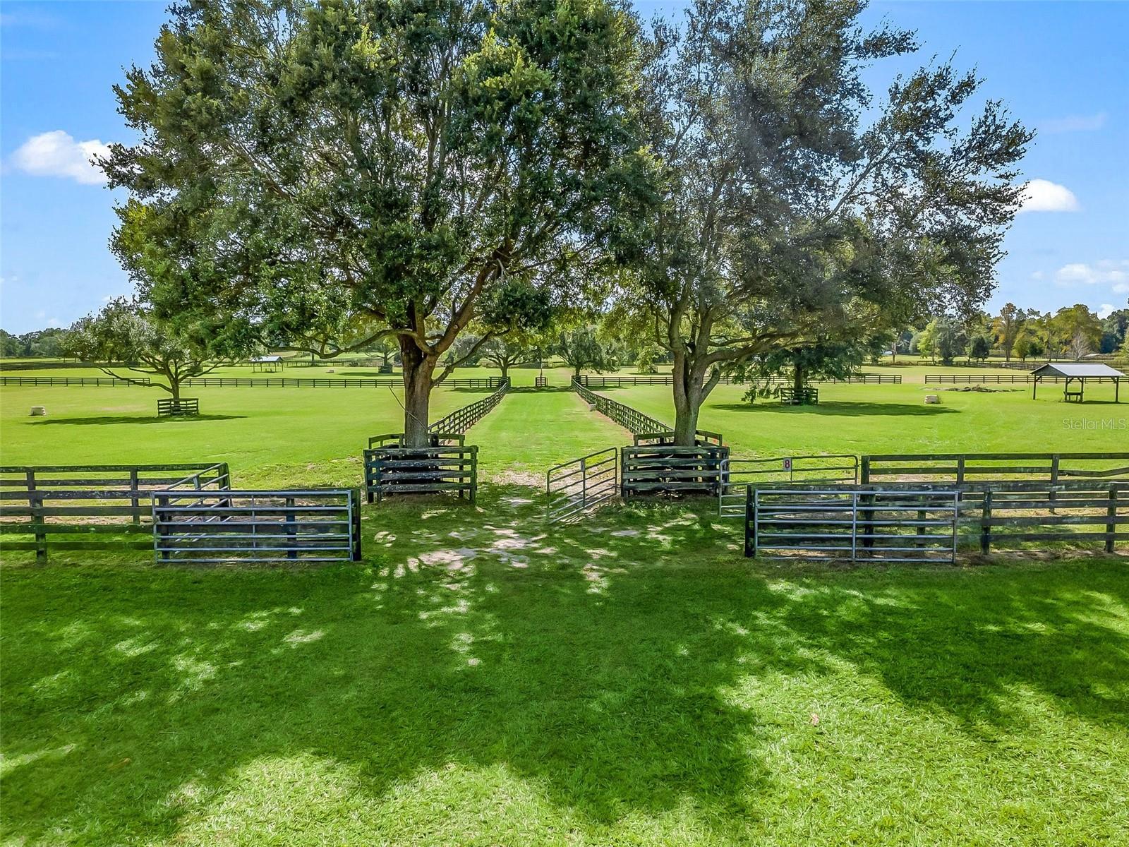 Listing photo id 10 for 1350 105th Lane
