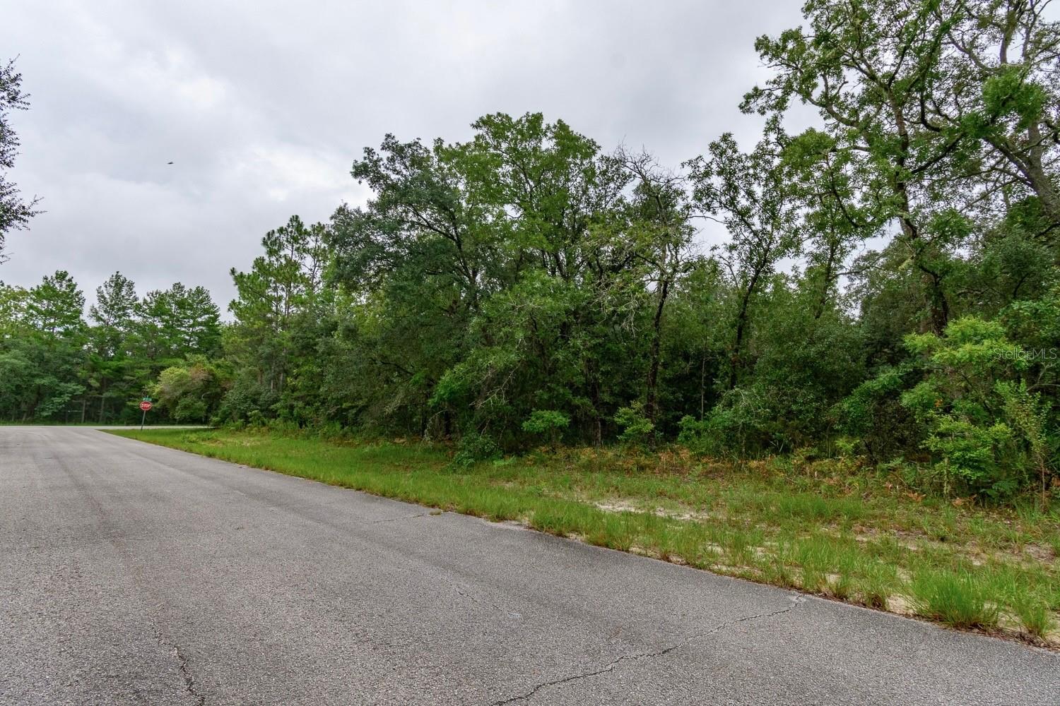Image 6 of 6 For Tbd 147th Loop