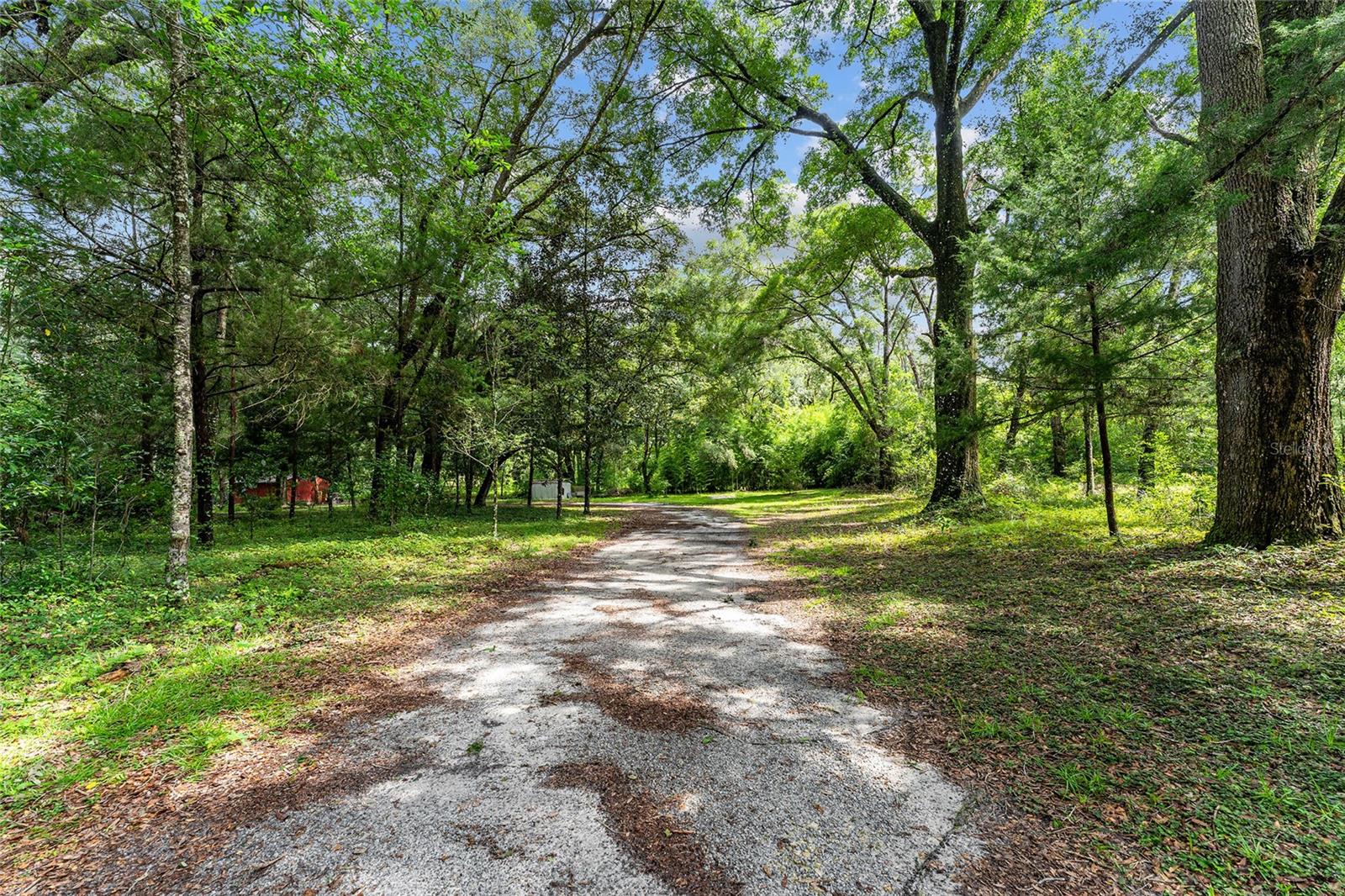 Image 12 of 31 For 7708 122nd Street B