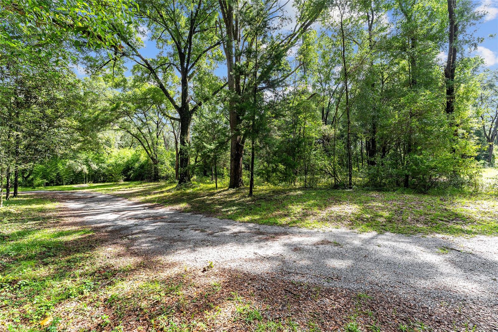 Image 24 of 31 For 7708 122nd Street B