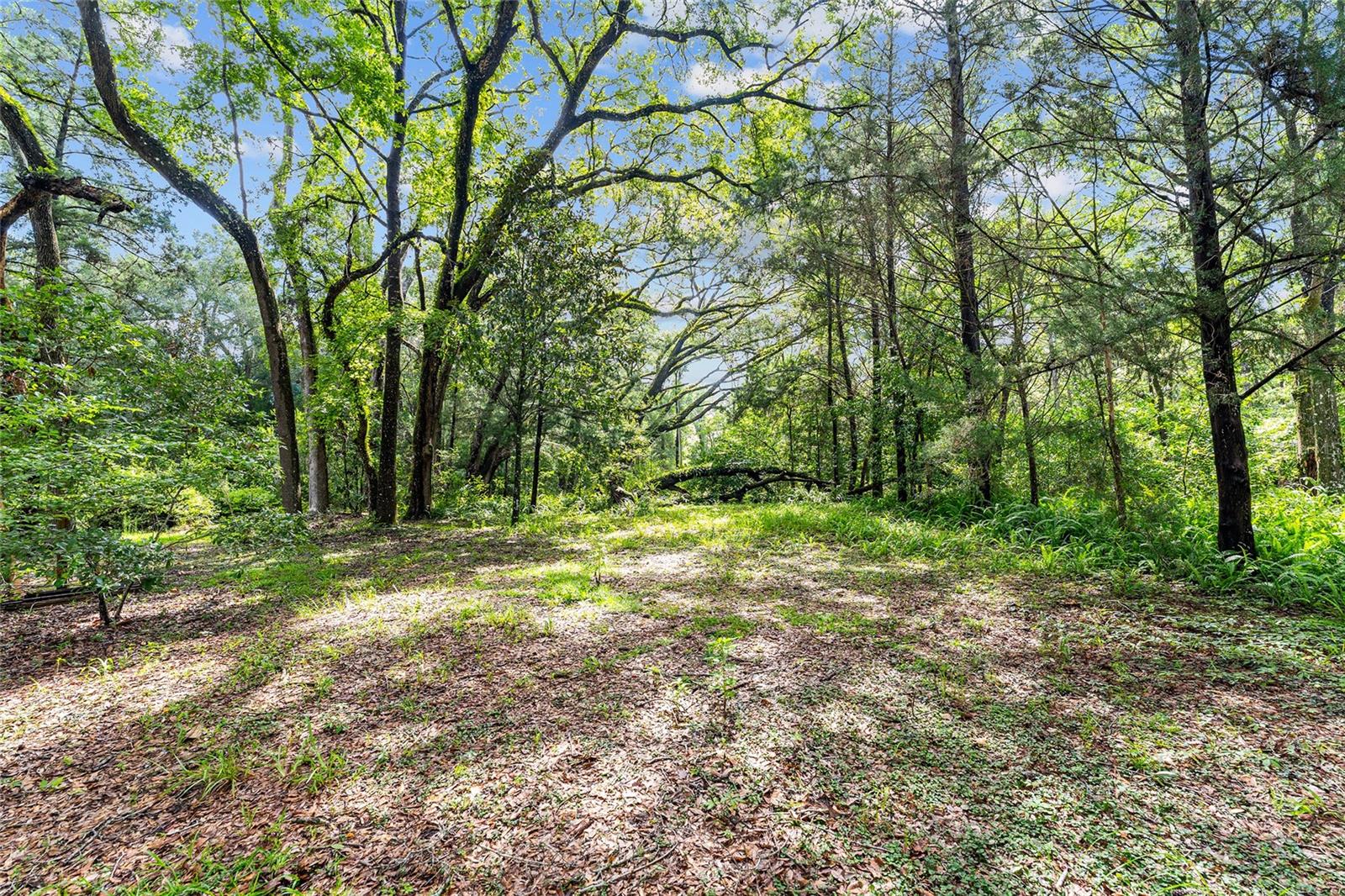 Image 28 of 31 For 7708 122nd Street B