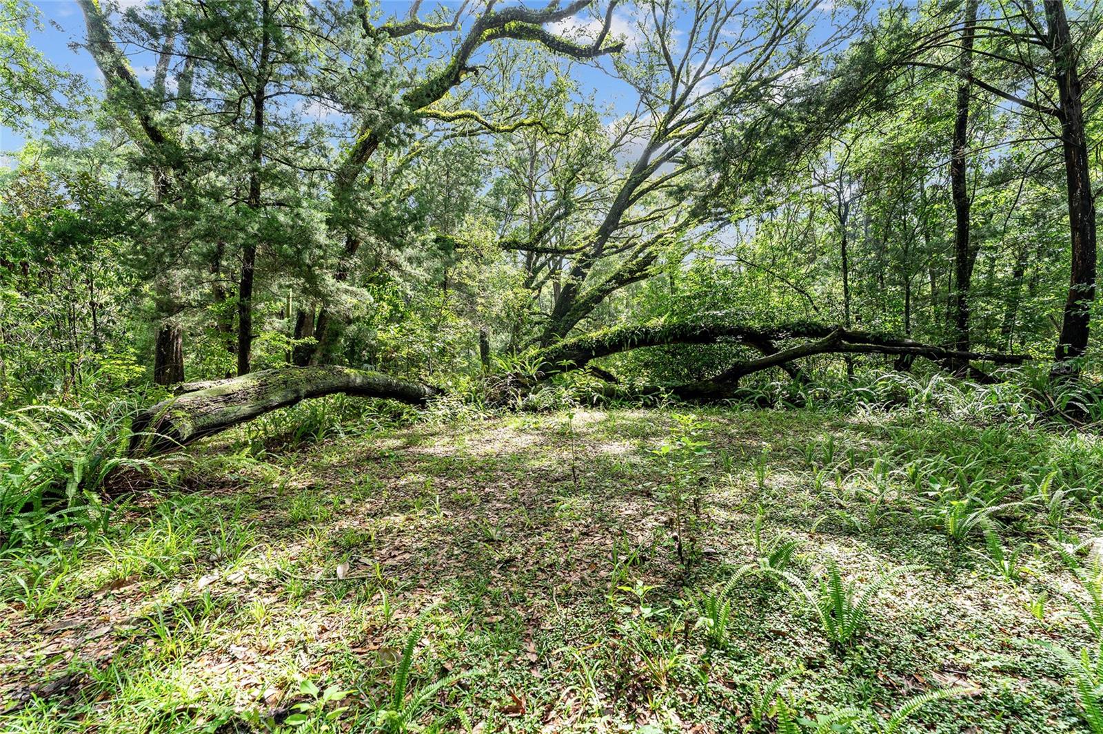 Image 30 of 31 For 7708 122nd Street B