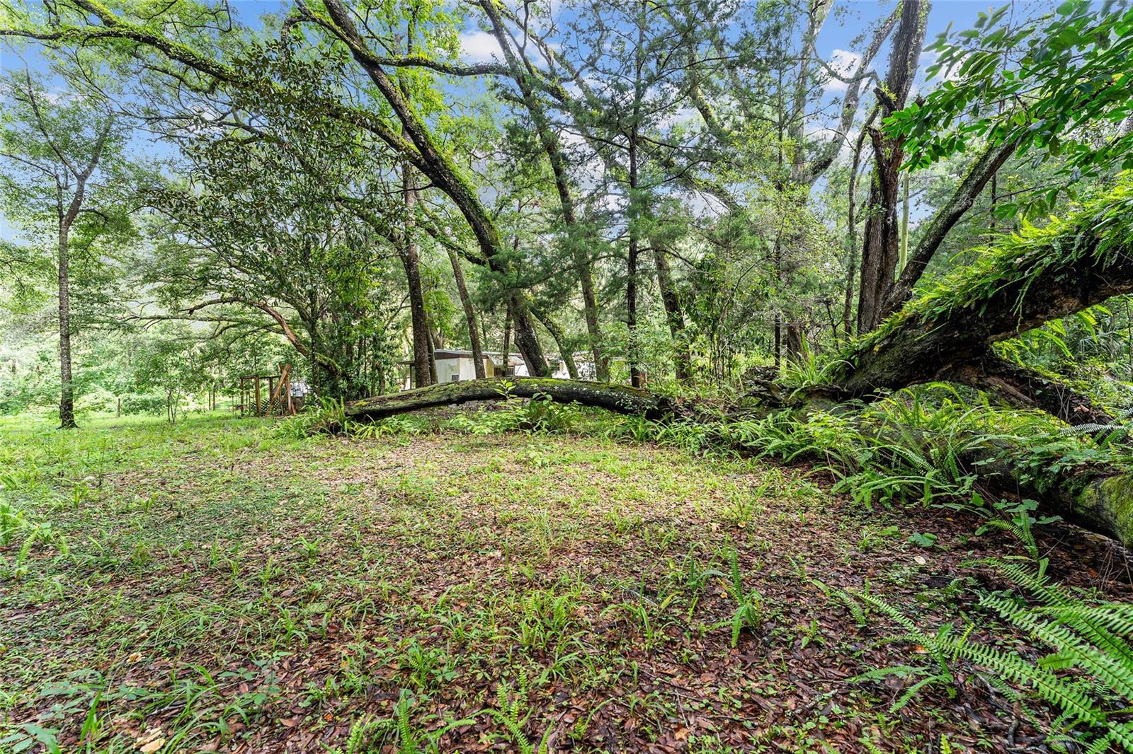 Image 31 of 31 For 7708 122nd Street B