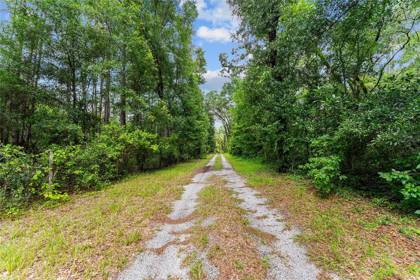 Image 6 of 31 For 7708 122nd Street B