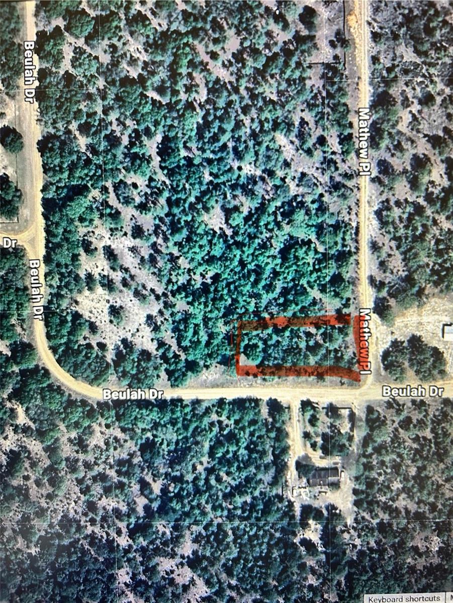 Listing Details for 101 Matthew Place, HAWTHORNE, FL 32640