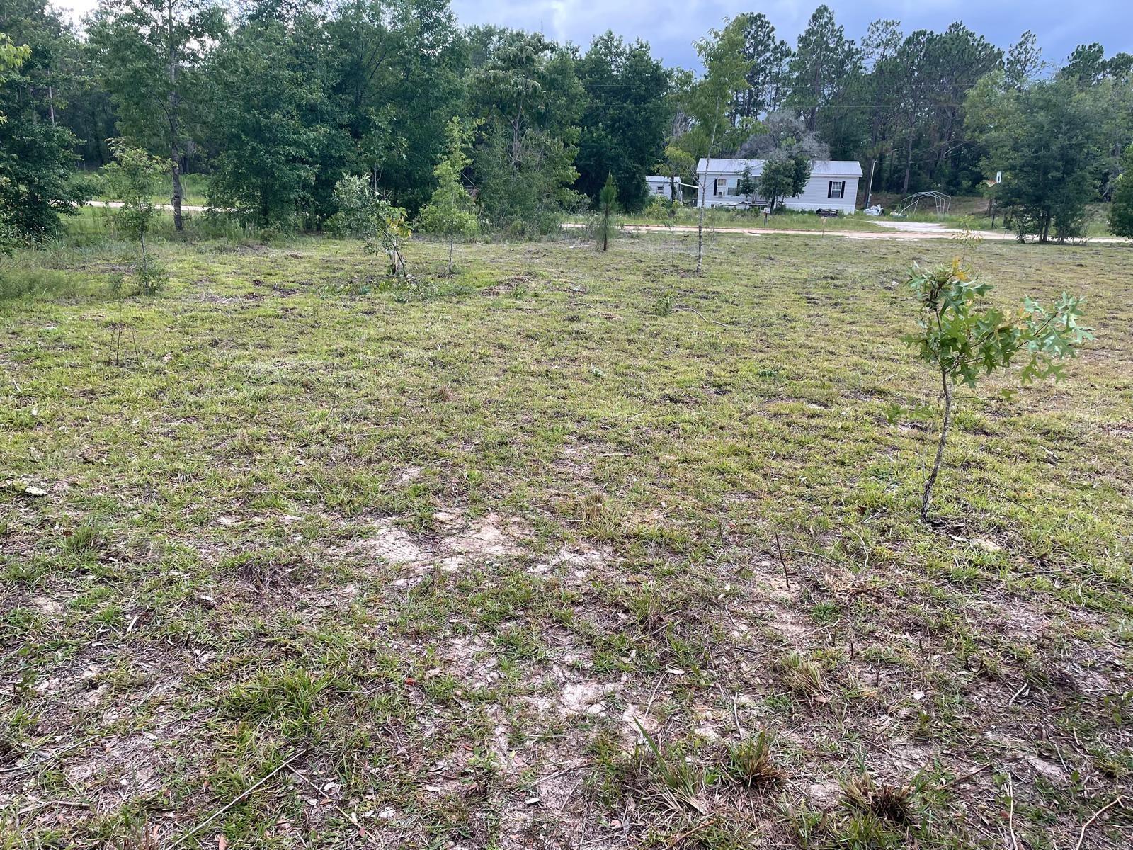 Details for  135th Court , WILLISTON, FL 32696