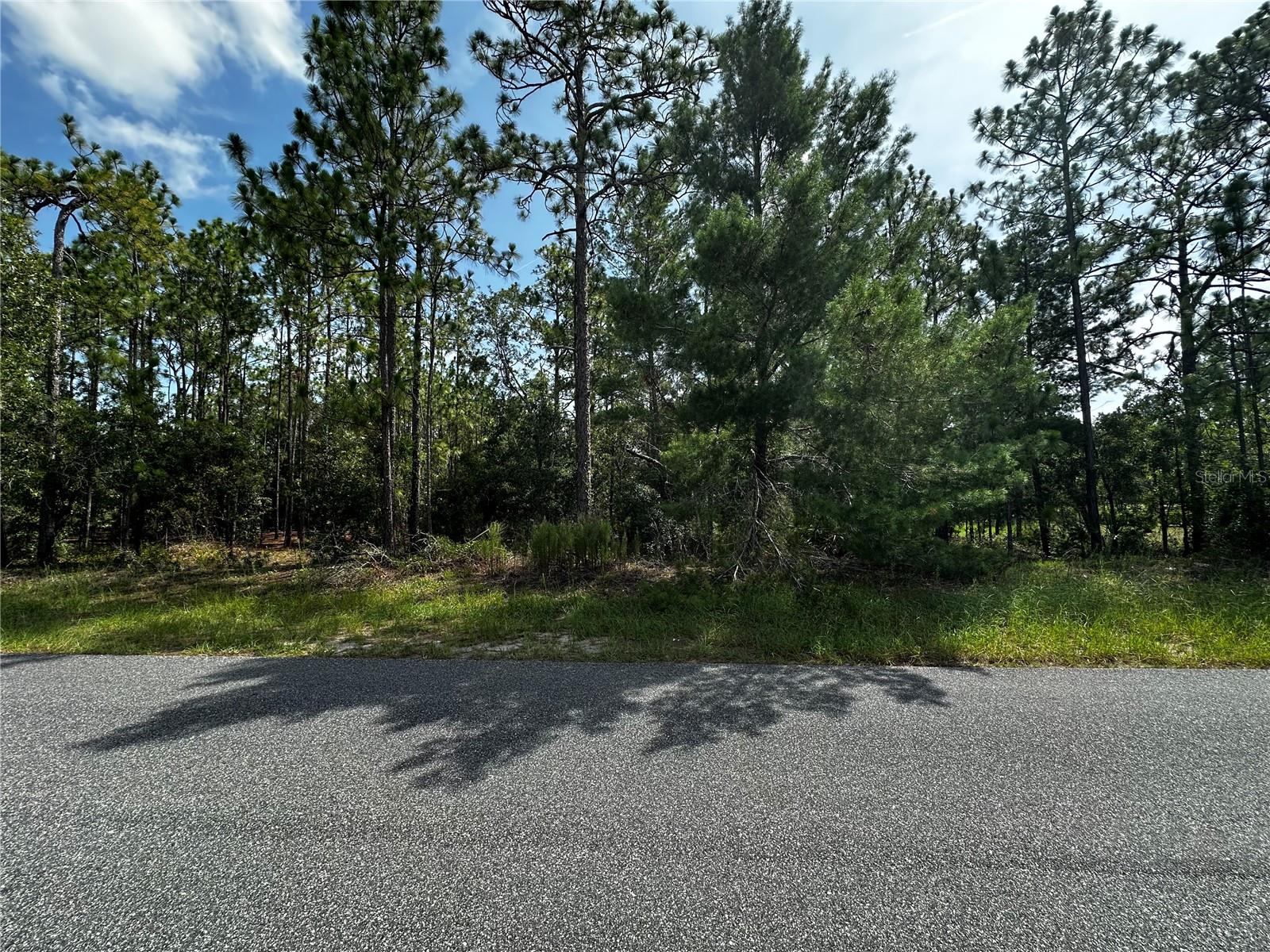 Listing photo id 1 for 5543 Buckskin Drive