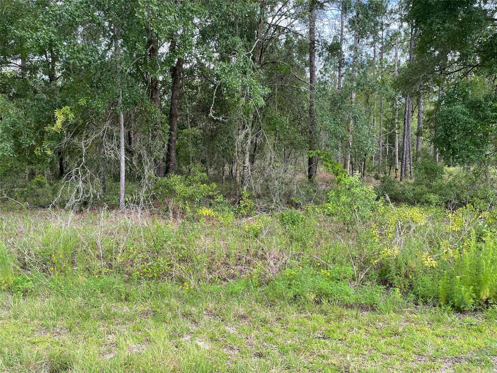 Details for Lot 3 Falcon Avenue, DUNNELLON, FL 34431