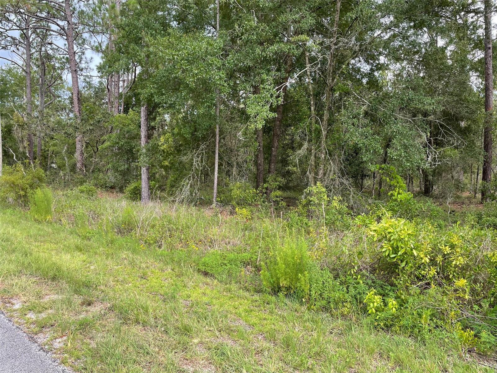 Listing photo id 0 for Lot 3 Falcon Avenue