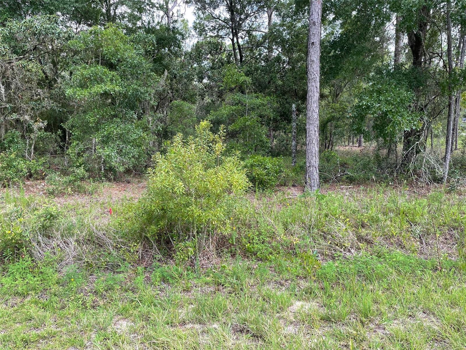 Listing photo id 1 for Lot 3 Falcon Avenue