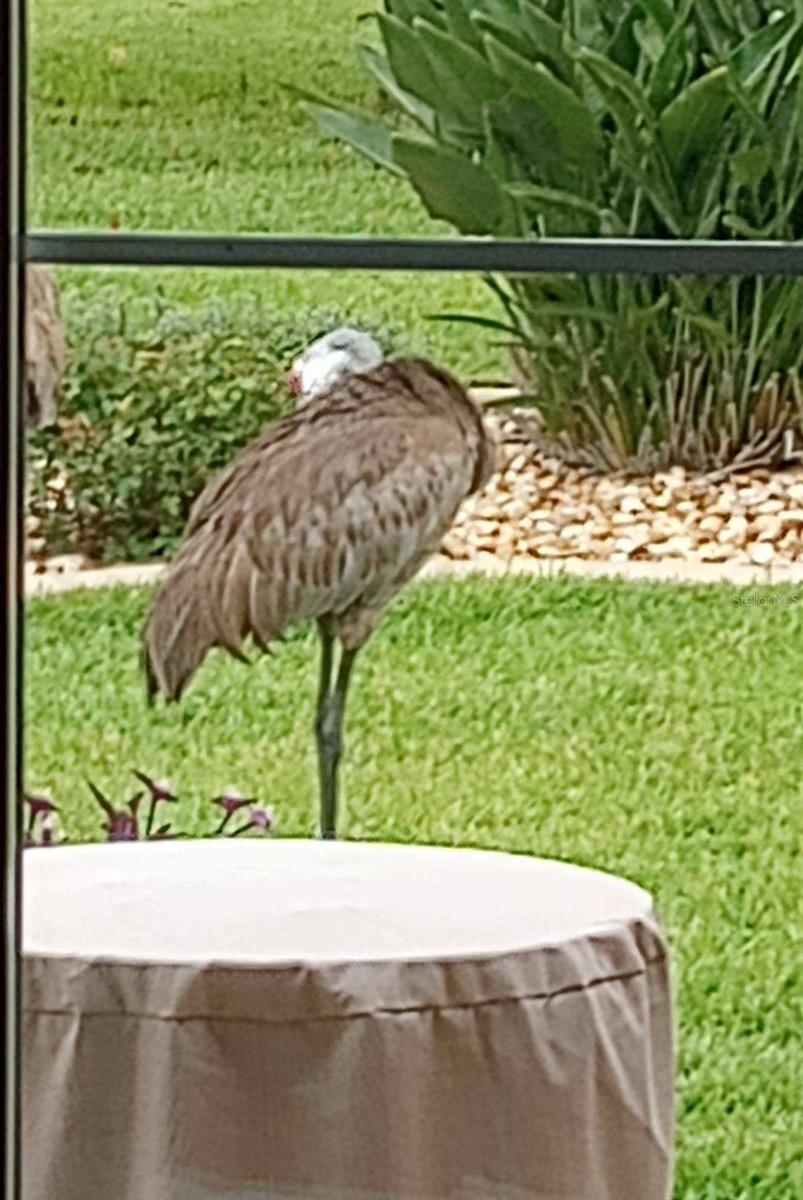 Image 37 of 59 For 15858 11th Court Road