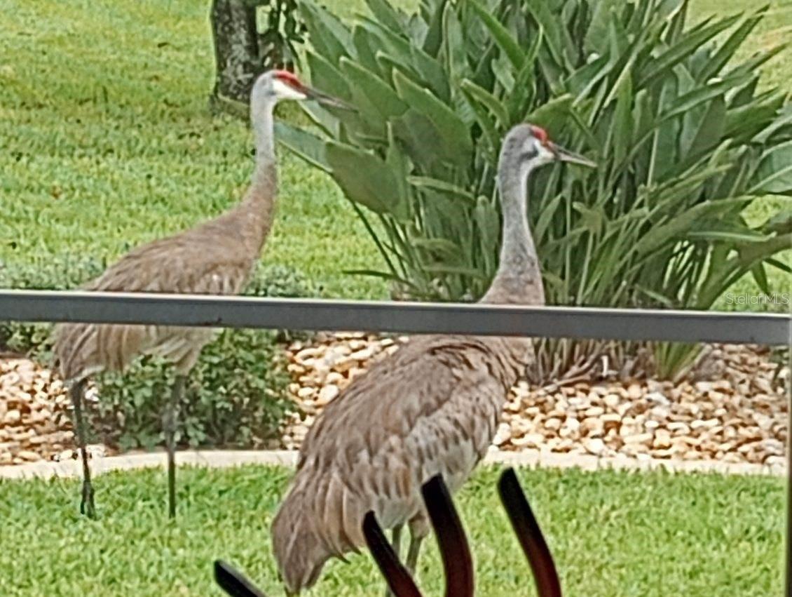 Image 38 of 59 For 15858 11th Court Road