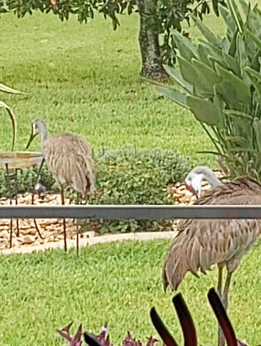 Image 39 of 59 For 15858 11th Court Road