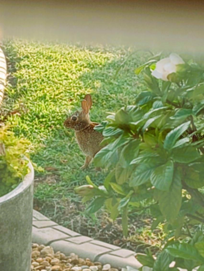 Image 40 of 59 For 15858 11th Court Road