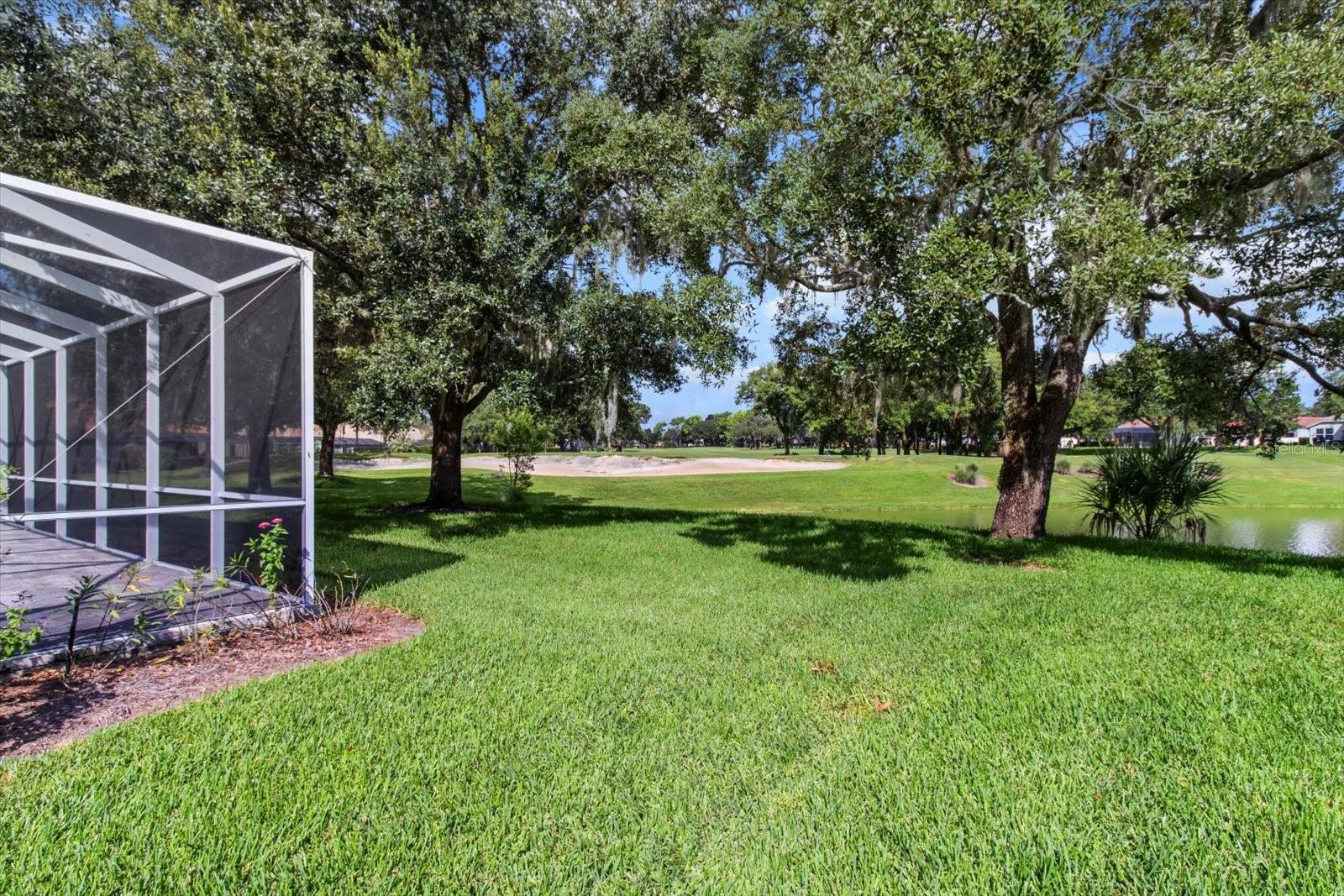 Image 47 of 64 For 1123 Skyview Landings Drive