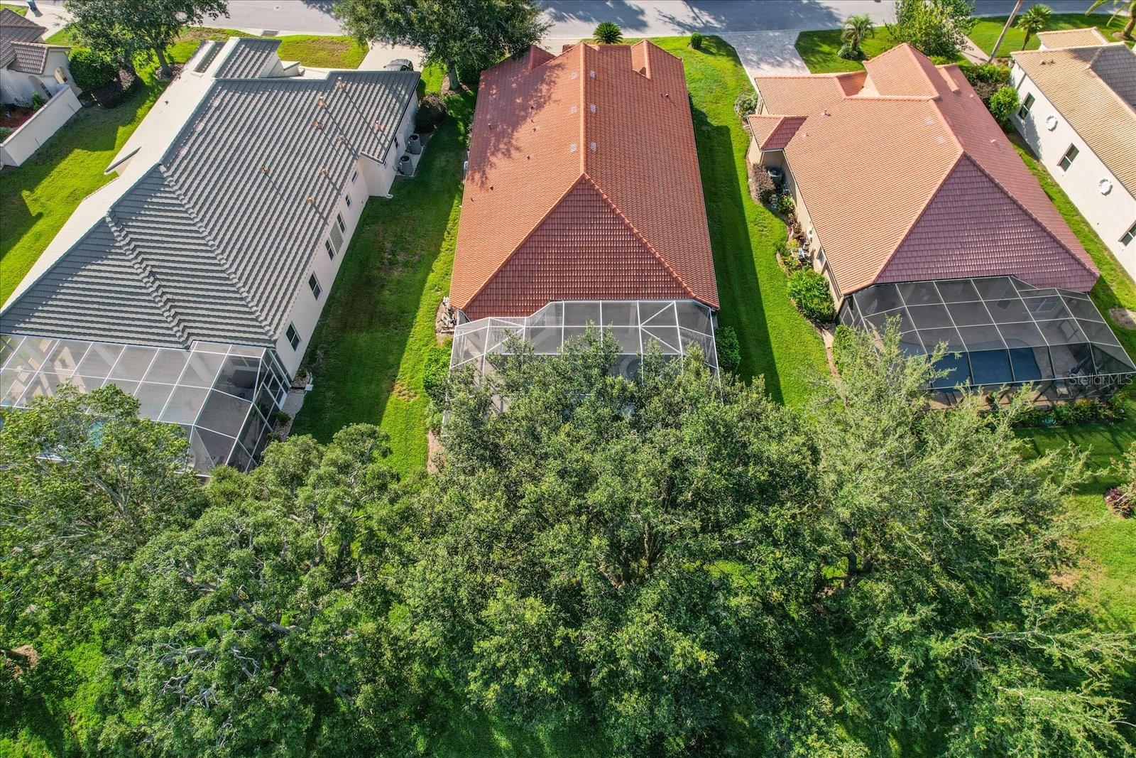 Image 51 of 64 For 1123 Skyview Landings Drive