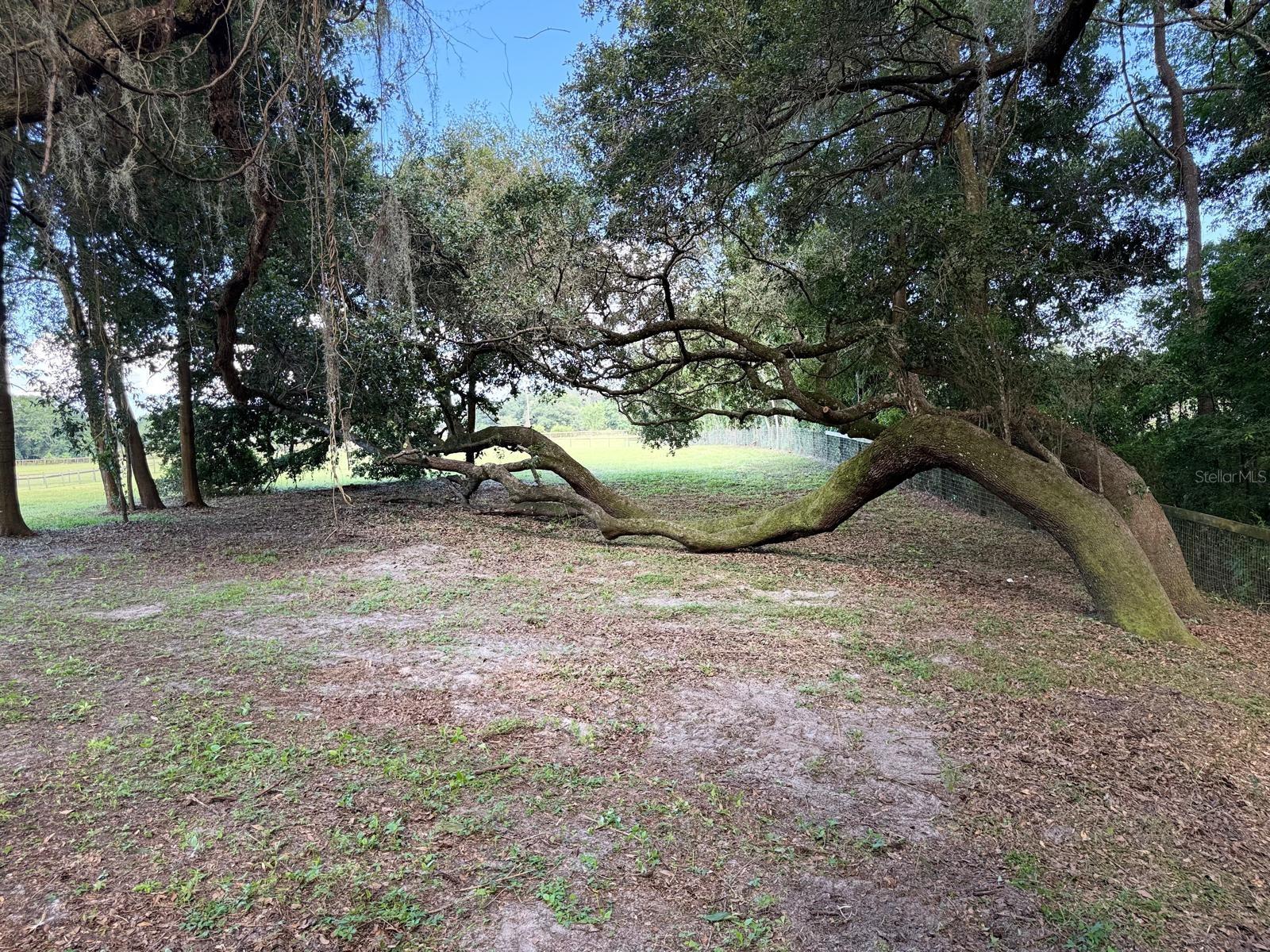 Image 6 of 9 For Tbd 150th St