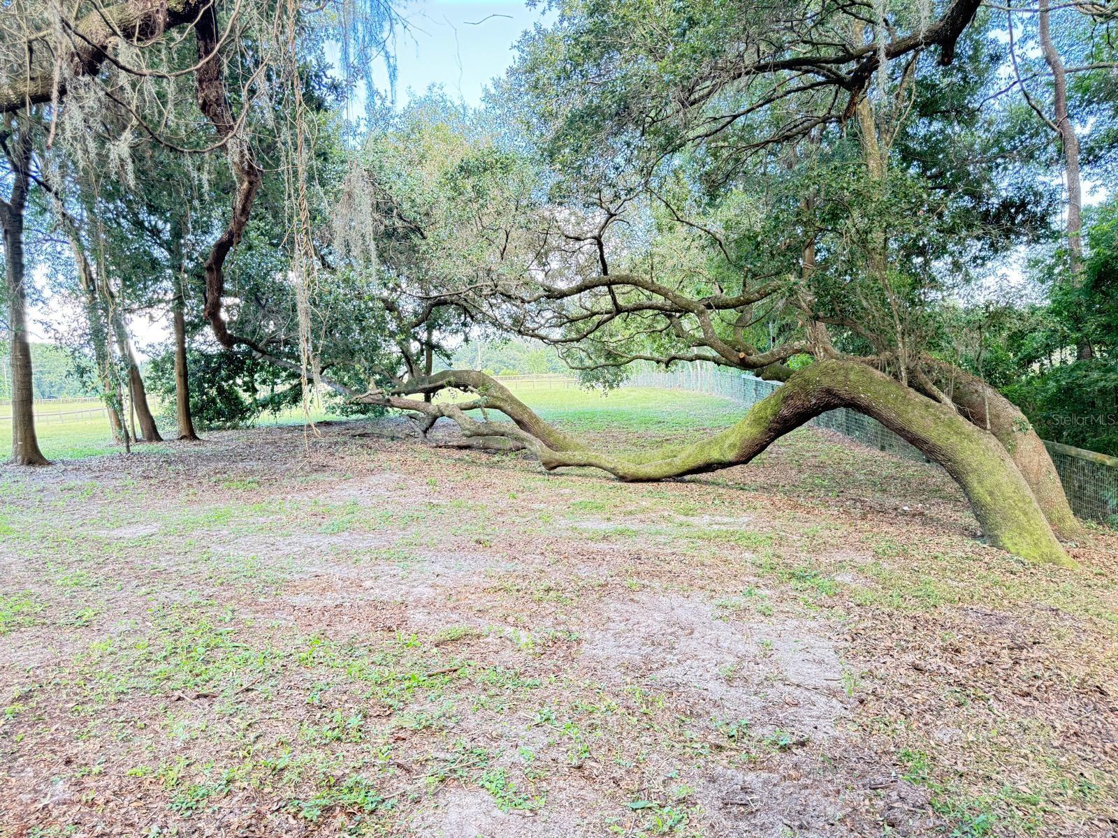 Image 9 of 9 For Tbd 150th St