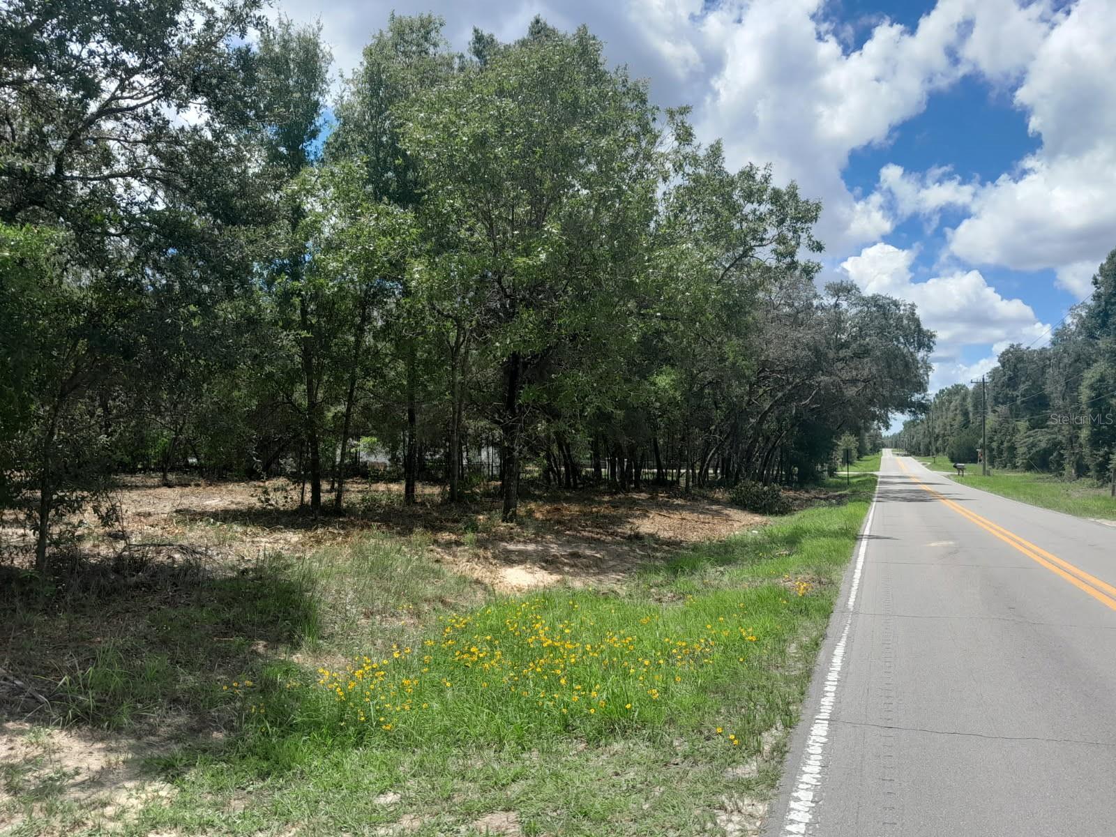 Details for Tbd 105th Avenue, BRONSON, FL 32621