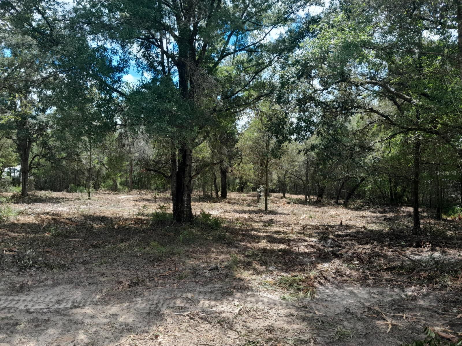 Image 2 of 5 For Tbd 105th Avenue