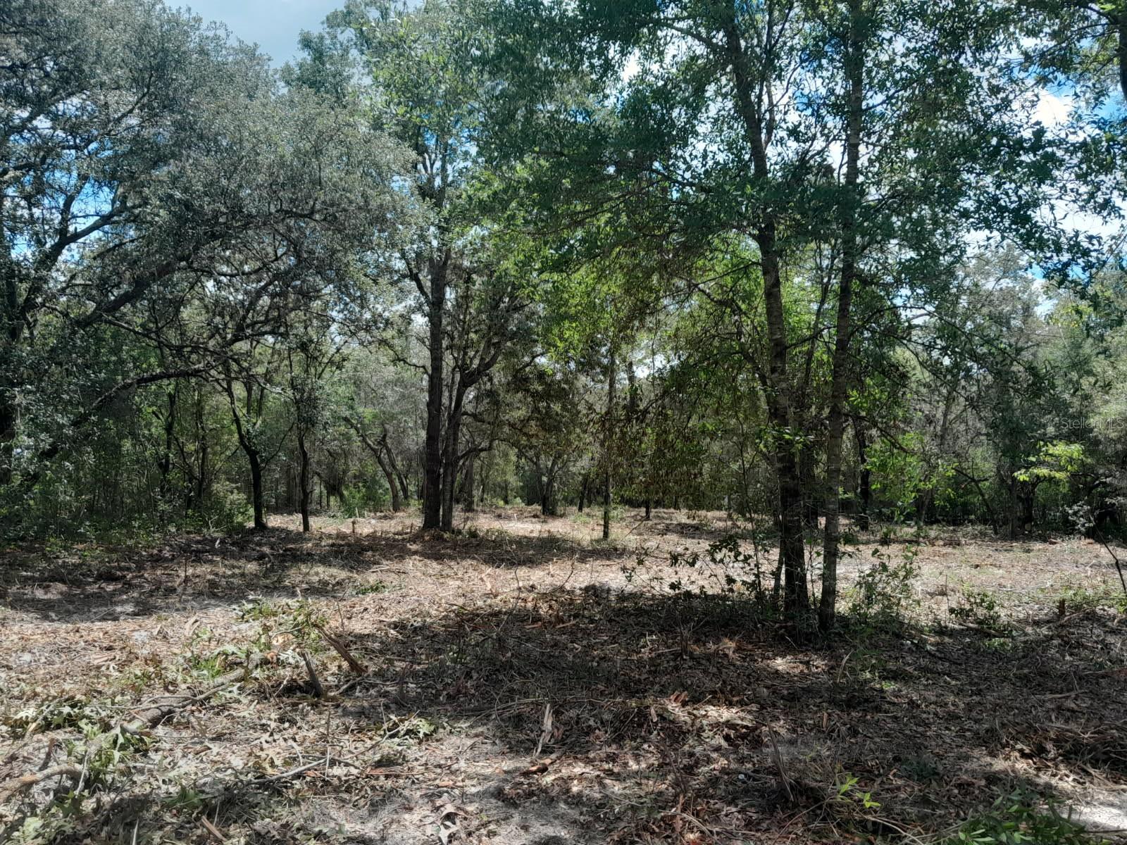 Image 3 of 5 For Tbd 105th Avenue