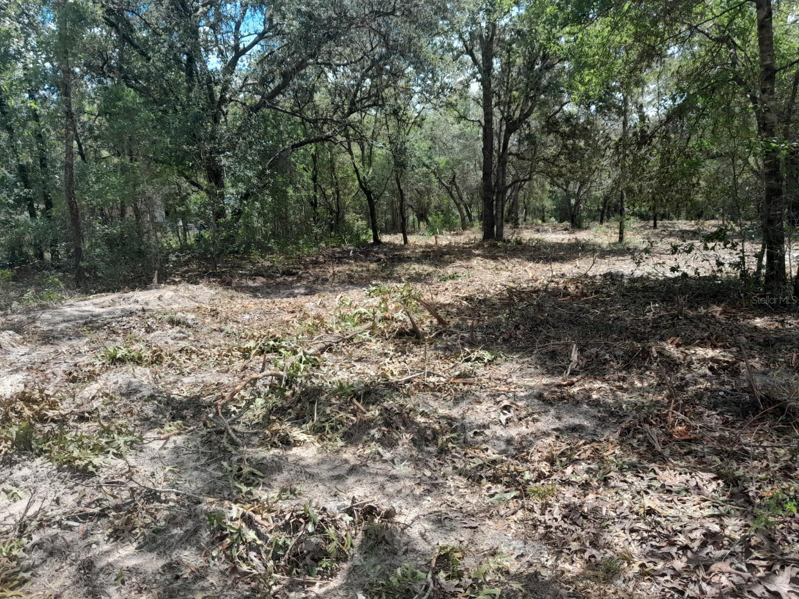 Image 4 of 5 For Tbd 105th Avenue