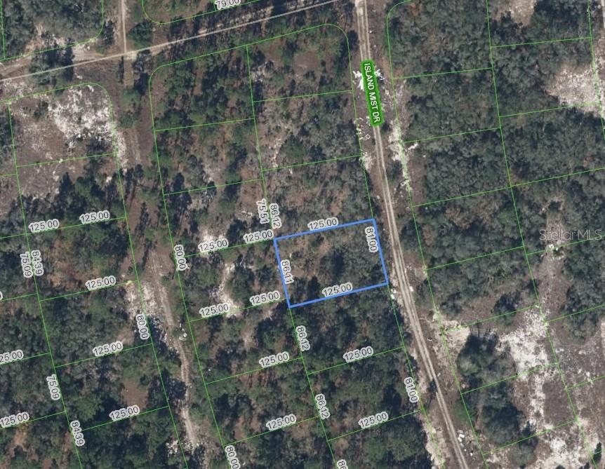 Details for 218 Island Mist Drive, LAKE PLACID, FL 33852