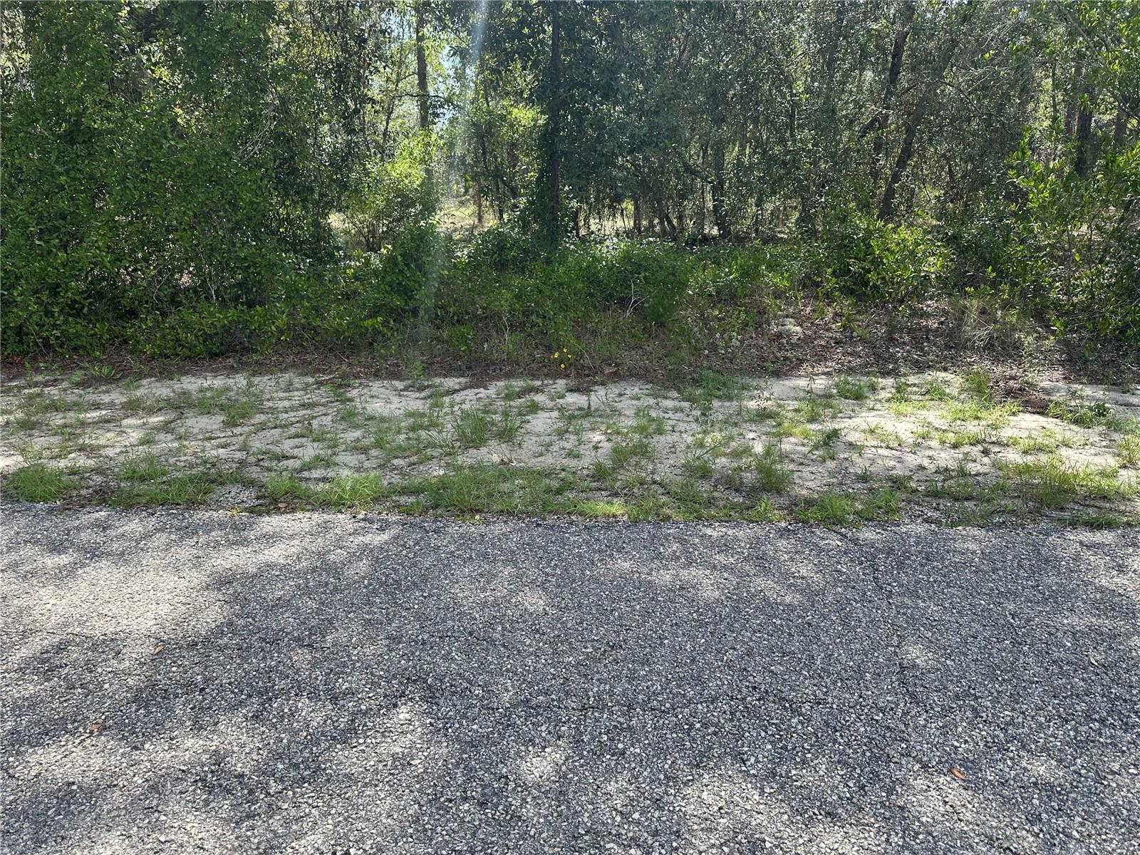 Details for Se 133rd Ave, DUNNELLON, FL 34431