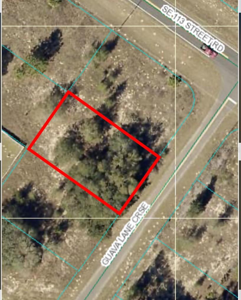 Details for Guava Lane Cross, OCKLAWAHA, FL 32179