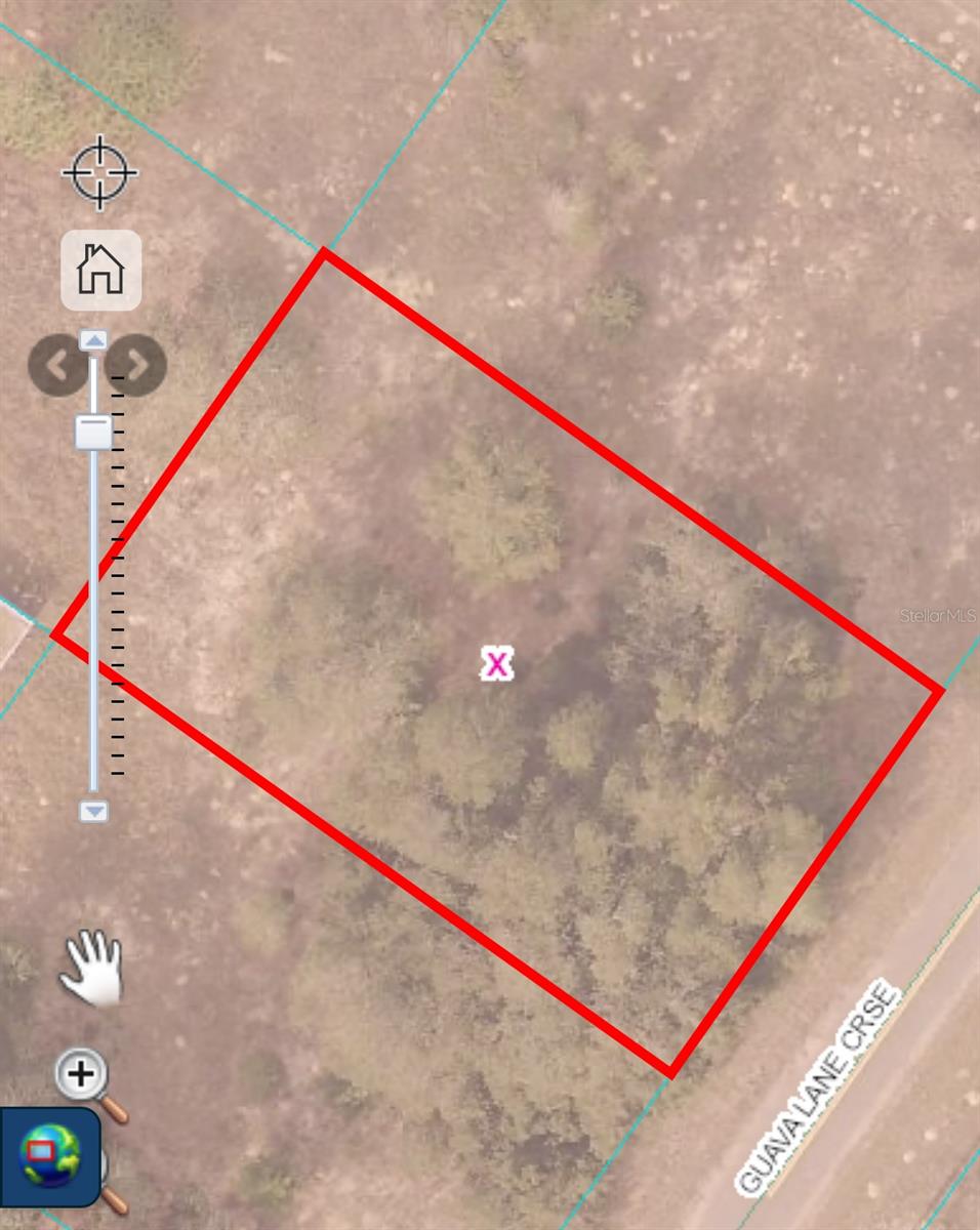 Image 2 of 4 For Guava Lane Cross