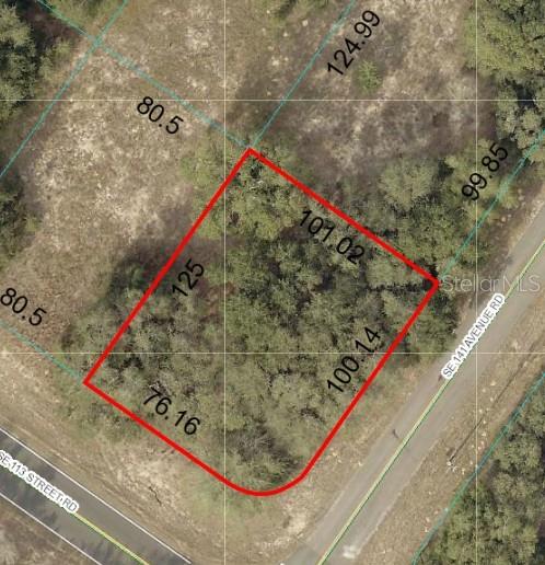 Details for Se 113 St Rd, OCKLAWAHA, FL 32179