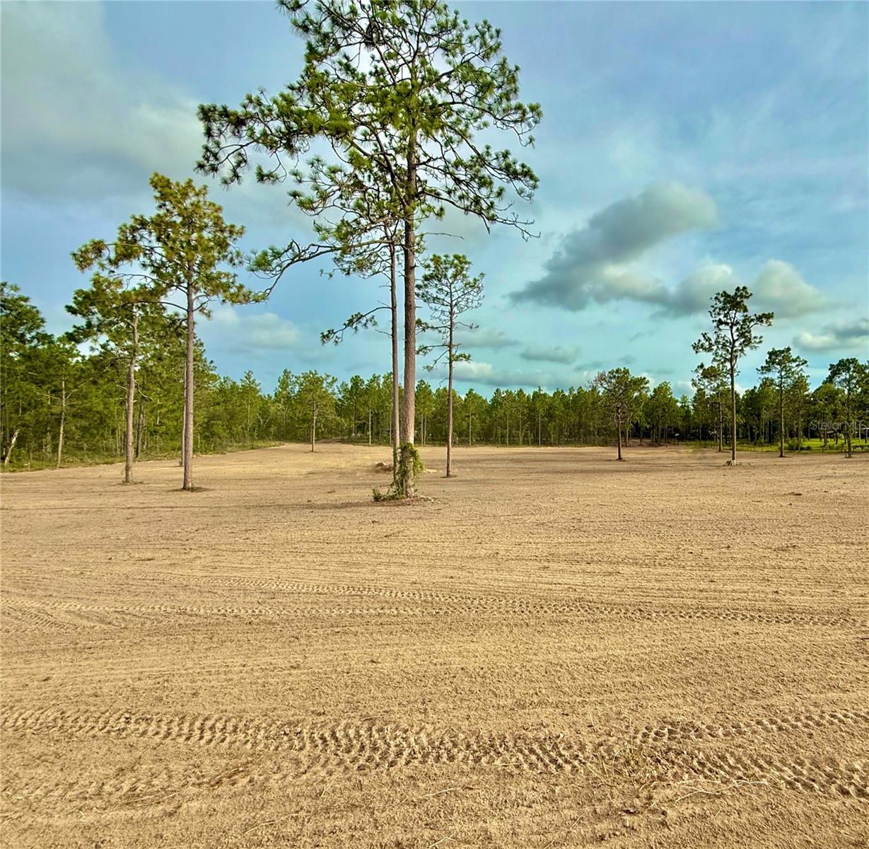 Listing Details for Tbd 60th Street, MORRISTON, FL 32668